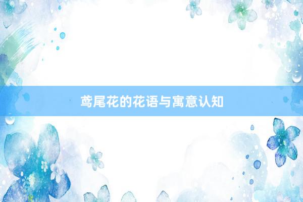 鸢尾花的花语与寓意认知
